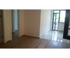 Apartament cochet,curte in proprietate,Doamna Ghica