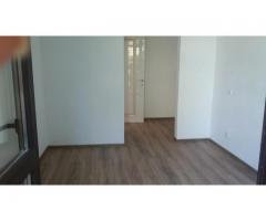 Apartament cochet,curte in proprietate,Doamna Ghica