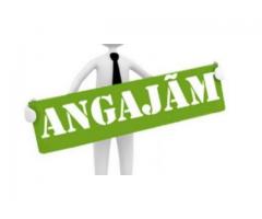 Angajam Meseriasi in Constructii