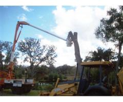 Servicii defrisare, toaletare si curatare