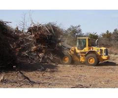 Servicii defrisare, toaletare si curatare