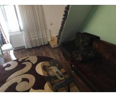 Vand casa in Timisoara Zona Balcescu