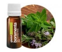 ULEI ESENTIAL DE MENTA GLADOIL 10 ML