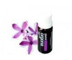 ULEI ESENTIAL DE LILIAC GLADIOL 10 ML