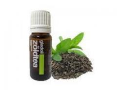 ULEI ESENTAIL DE CEAI VERDE GLADIOL 10 ML