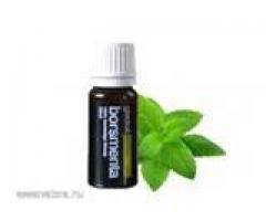 ULEI ESENTIAL DE MENTA GLADOIL 10 ML