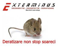 deratizare nonstop