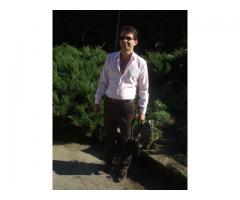 Master Gigolo at client & Central location