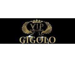 Sex job,vacancy,gigolo private sex work