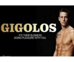 Meet QUALITY GIGOLO ESCORTS AND MALE MASSEURS