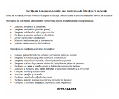 Curățenie generală în locuinţe