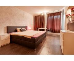 Elvetia - Black Roses - Conditii excelente de munca!