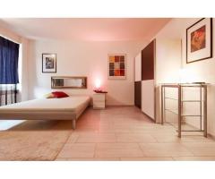 Elvetia - Black Roses - Conditii excelente de munca!